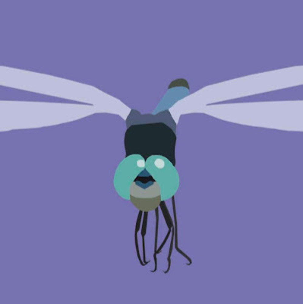 Meet your Posher, Hanne